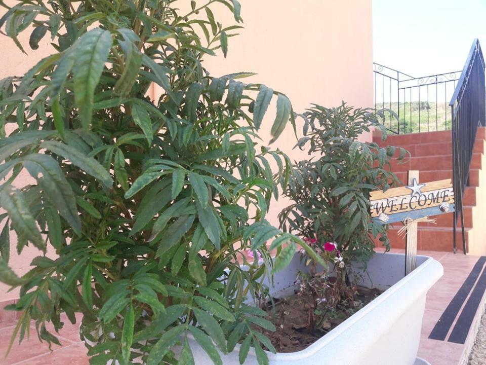 Rodanthy Studios IV Katelios Exterior photo